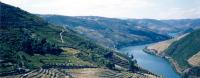 Region Douro